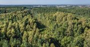 Trójmiejski Park Krajobrazowy. Jaki teren obejmuje?