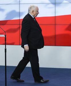 Kaczyński zaskoczył w trakcie konferencji. Powiedział o kocie