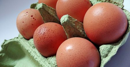 Cena jajek w 2023 osiągnie rekord? Nadciąga widmo kryzysu
