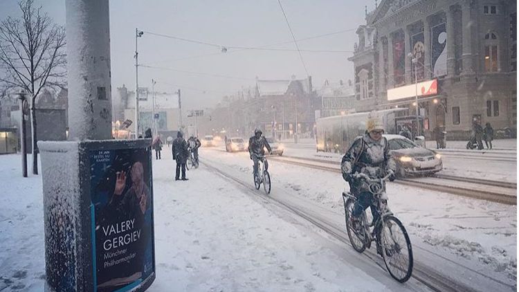Śnieg zasypał Holandię