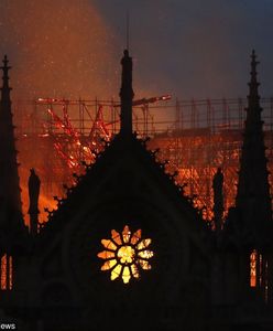 Pożar Notre Dame. Historyk sztuki: widok jest równie apokaliptyczny jak World Trade Centre