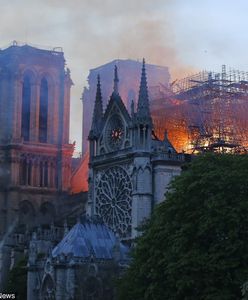 Pożar katedry Notre Dame. Figury apostołów "cudownie" uratowane