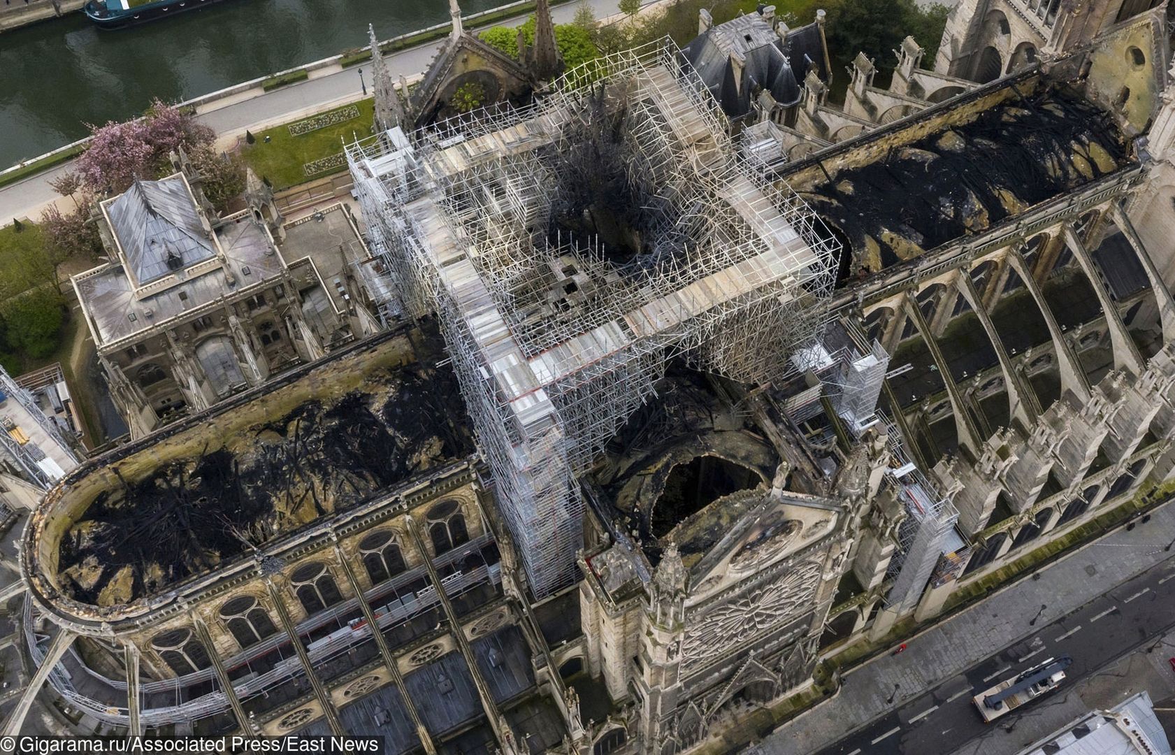 Katedra Notre Dame. Ocalały pszczoły na dachu