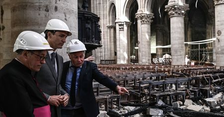 Trwają prace nad renowacją Notre Dame. Kanada oferuje drewno i stal