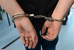 Szczecin. Wysyłali dopalacze do paczkomatów. Wkroczyła policja