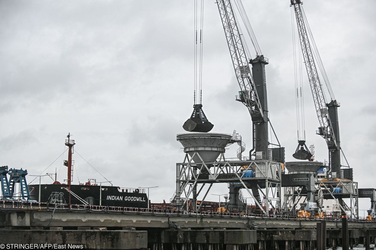 Gdańsk. Kolejna akcja Greenpeace. Aktywiści weszli na żurawie