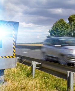 Sprawdzanie aktualnych mandatów przez sms. W Rosji działa, dlaczego nie w Polsce?