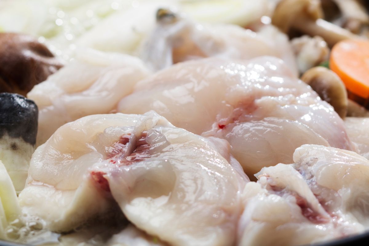 Death on a plate: The deadly allure of fugu fish cuisine