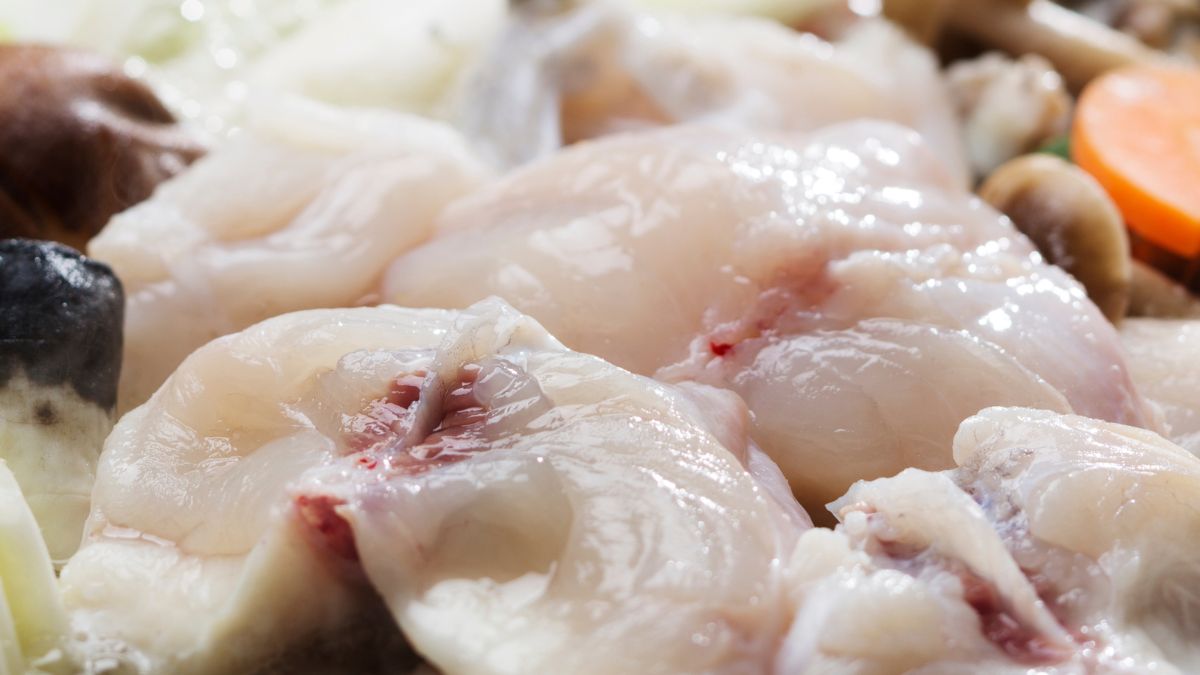 Ryba fugu - najbardziej trująca tryba na świecie.