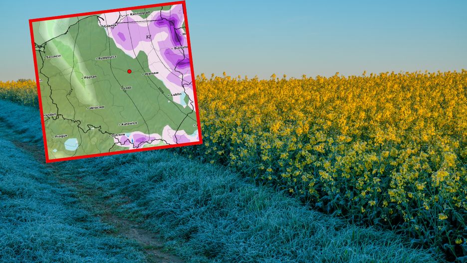 10 kwietnia na wschodzie Polski temperatury mogą spaść sporo 