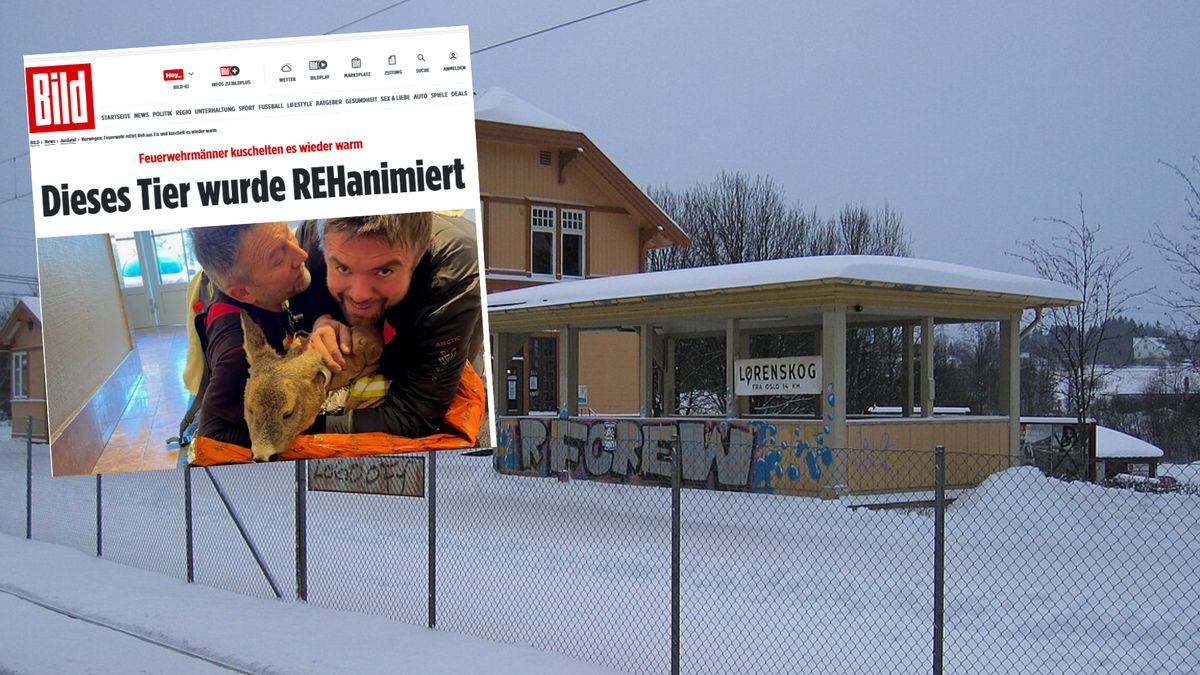 Strażacy uratowali zamarzniętego jelonka