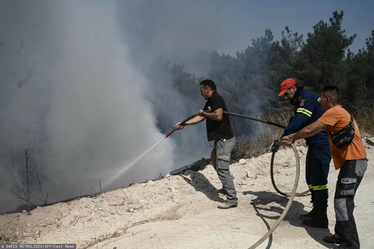 Strażacy i ochotnicy walczą z pożarem rozprzestrzeniającym się w lesie Dadia