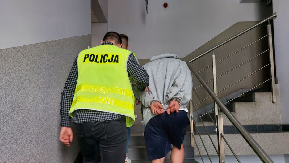 Fot. Licencjodawca