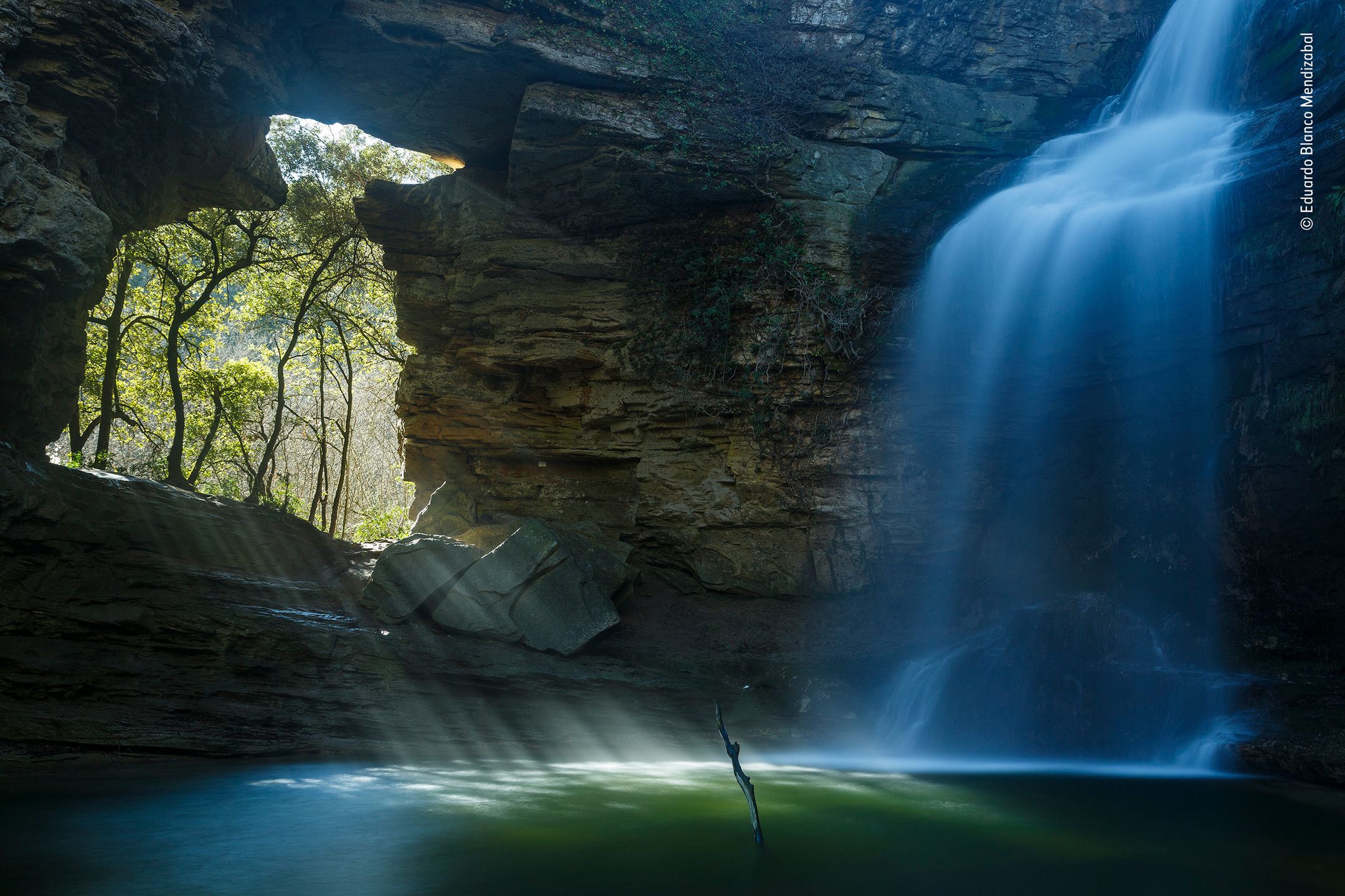 Panasonic przyzna nagrodę publiczności w konkursie Wildlife Photographer of the Year 6