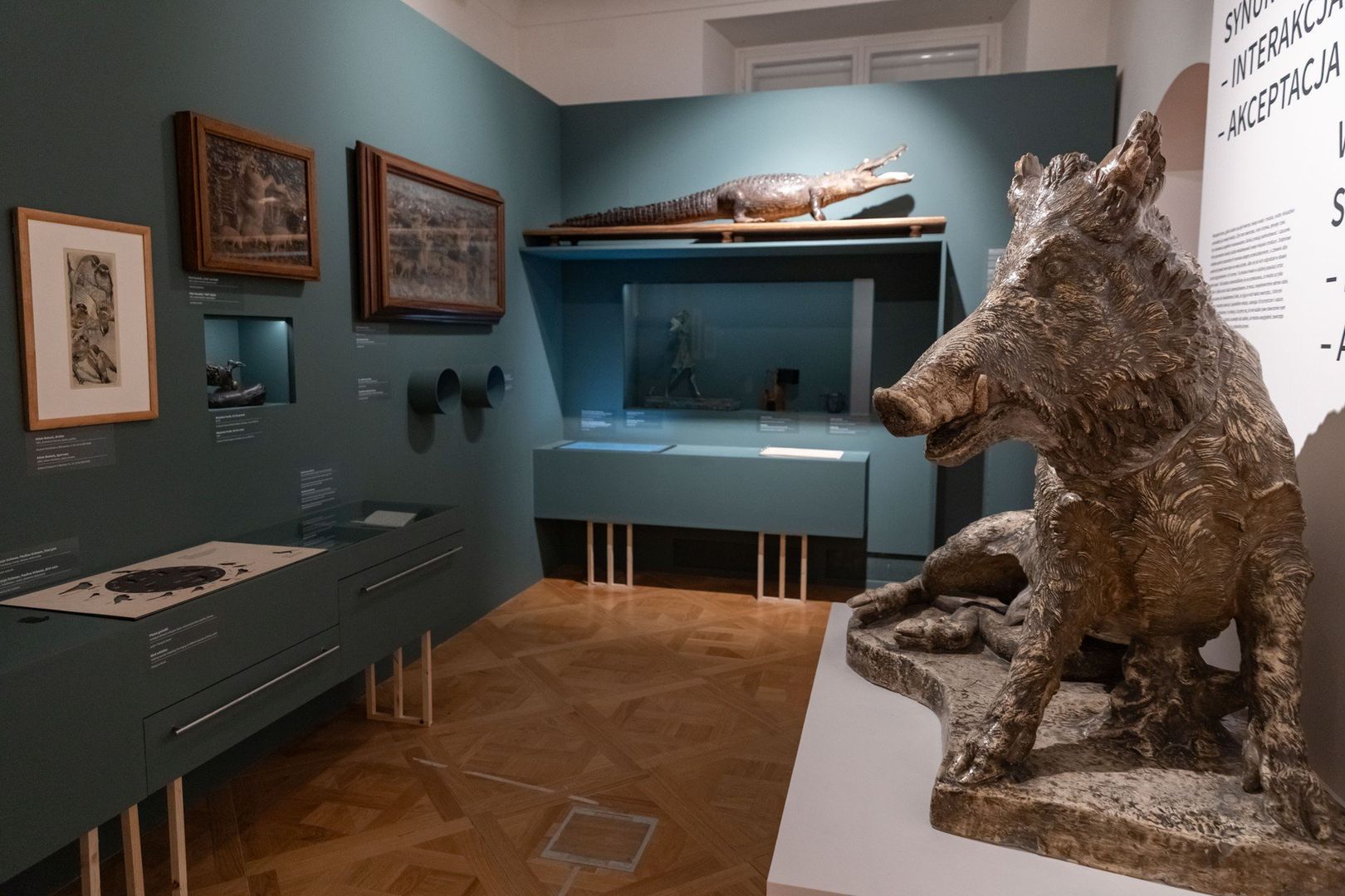 Wystawa &#34;Miasto zwierząt&#34; w Muzeum Krakowa