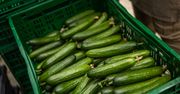 Zalewają nas ogórki z importu. W czołówce Rosja