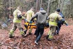 "Piorun" odnalazł zaginionego 74-latka. Pies bohaterem