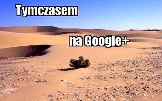 Pogromca Facebooka? Wolne żarty, Google+ to wydmuszka