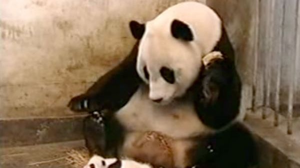 YouTube ma własny "The Social Network" [zwiastun] 1