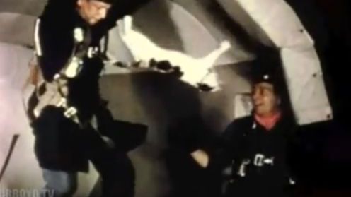 Pozbawić grawitacji – tego nie robi się kotu [wideo] 1