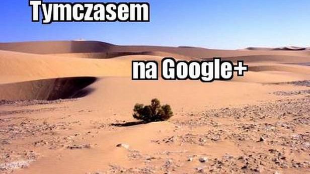 Pogromca Facebooka? Wolne żarty, Google+ to wydmuszka 1