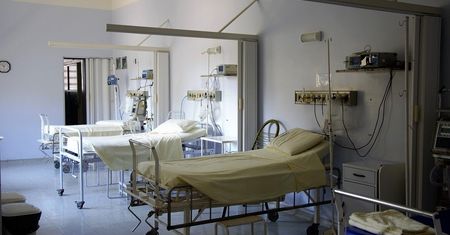 Szok w Oleśnicy. Wicedyrektorka publikowała zdjęcia martwych płodów. Chcą jej zmiany