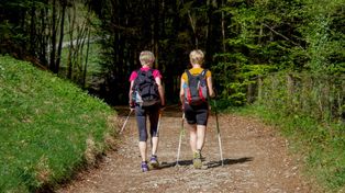 Poznaj Łódzkie z Nordic Walking. Wędrówka w Strońsku w gminie Zapolice
