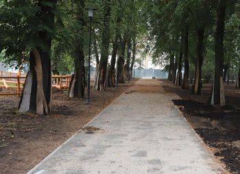 Radom: Skwer przy placu Jagiellońskim w przebudowie. Będzie tu pięknie