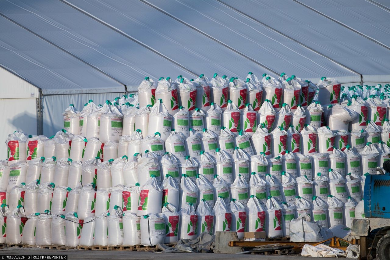 Rosnące ceny gazu uderzają w rynek nawozów
