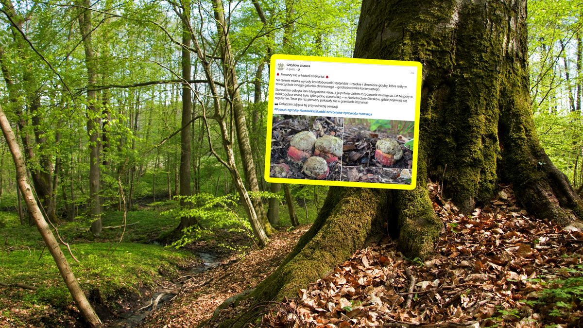 Historyczny widok w Poznaniu.