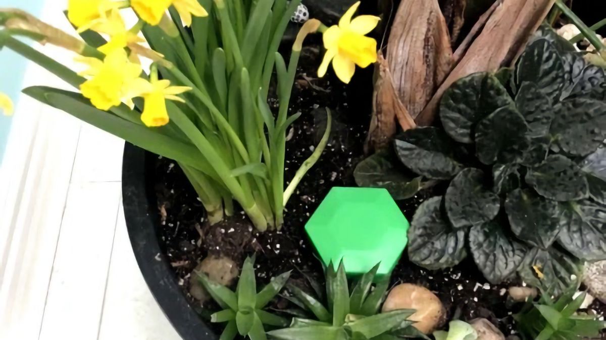 Dbaj o rośliny w domu i ogrodzie. Verdmo oceni kondycję gleby i powiadomi na smartfon 1