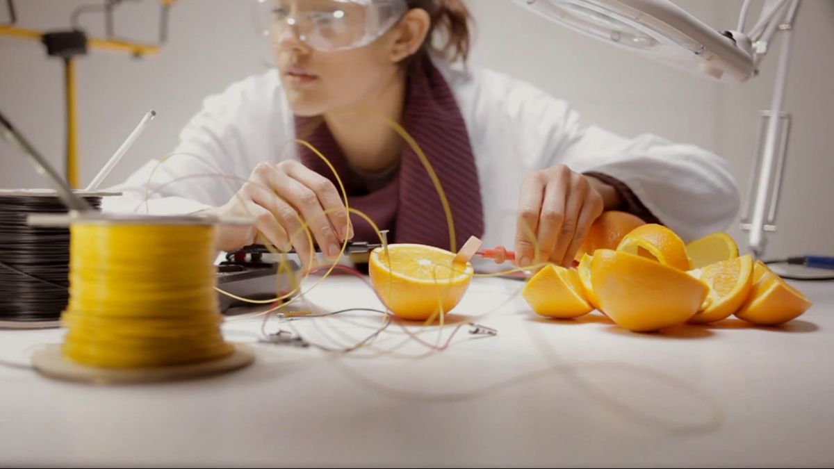 Co można zrobić z 2500 pomarańczy? [wideo] 1