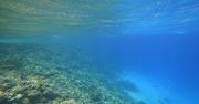 Odkrycie na dnie oceanu. "To pokazuje, jak mało wiemy"