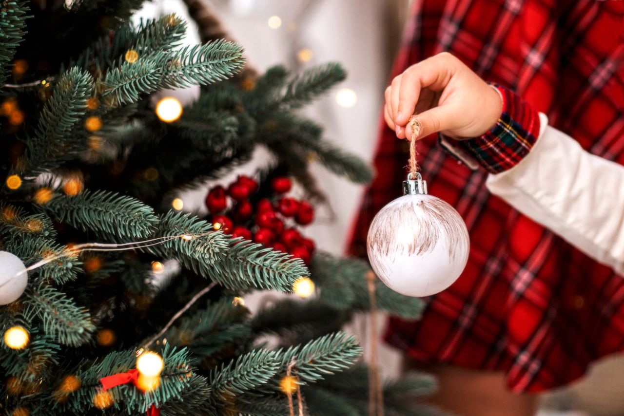 Fir, Spruce, or Pine: Choosing the best Christmas Tree