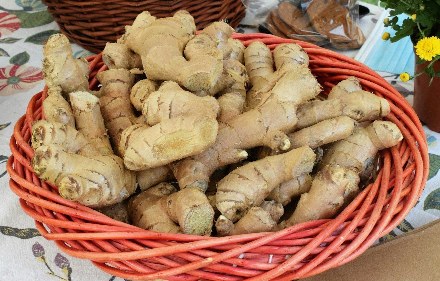 Osoby z wrzodami żołądka i nadżerkami