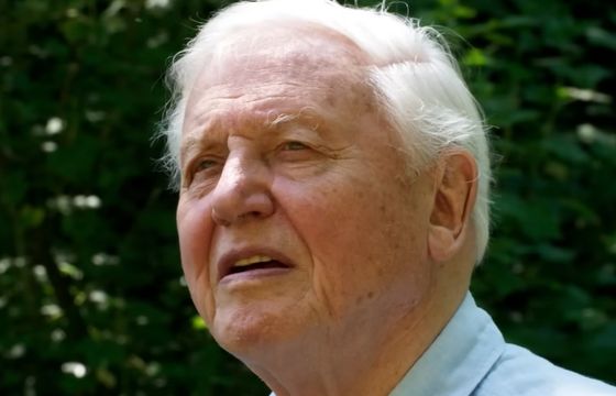 David Attenborough ma 100 lat. Tak są świętowane urodziny legendy BBC