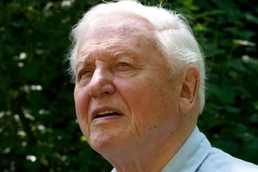 Sir David Attenborough, fot. youtube / Netflix