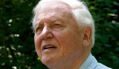 David Attenborough ma 100 lat. Tak są świętowane urodziny legendy BBC