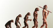 Ewolucja to dzieło przypadku? Nic bardziej mylnego