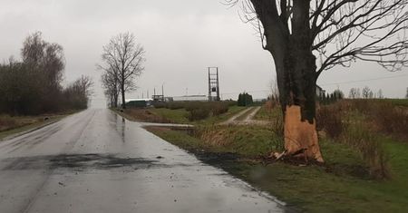 Renault uderzył w drzewo i zapalił się. Wewnątrz ujawniono zwłoki 19-latki
