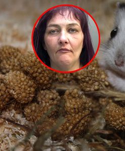 Mr. Nibbles zjedzony. Matka zabiła chomika córki