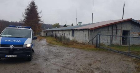 Makabra na terenie byłej fermy drobiu. 40-latek umierał w męczarniach