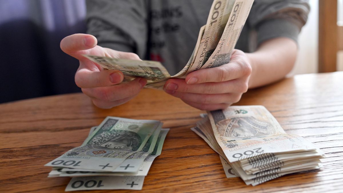 pieni�dze PLN
Szczecin, 09.09.2021. Banknoty, bilety Narodowego Banku Polskiego w nomina�ach 100 i 200 z�otowych trzymane w d�oniach, 9 bm. (ran) PAP/Marcin Bielecki
Marcin Bielecki
100 z�otych, 200 z�, 200 z�otych, banknoty, got�wka, kasa, pieni�dze, dlo�, d�onie, banknot�w, liczenie pieniedzy, z�ot�wki