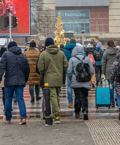 Tu zarabia się najwięcej. Polskie miasta ze szczytu rankingu