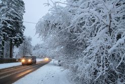 Pogoda. Śnieg, deszcz i wiatr. Końcówka tygodnia pogodna