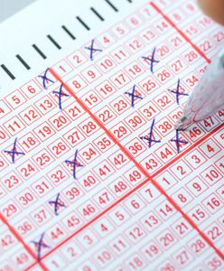 Wyniki Lotto 24.11.2025 – losowania Multi Multi, Ekstra Pensja, Kaskada, Mini Lotto