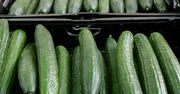 Wysłali ogórki do Polski, zarobili ponad 106 mln zł. Skąd pochodzą?