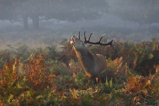 Zwycięzcy konkursu National Geographic Photo Contest 2014, czyli kawał dobrej fotografii 17