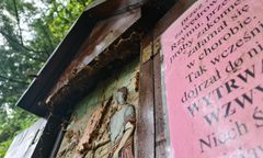 Tam ukryły się szerszenie. Zaatakowały polskich pielgrzymów