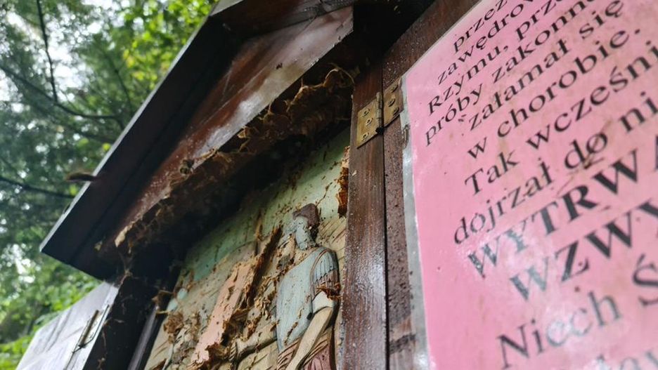 Szerszenie zaatakowały pielgrzymów w pobliżu tablicy modlitewnej
